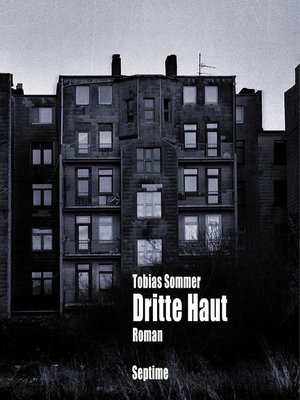 cover image of Dritte Haut